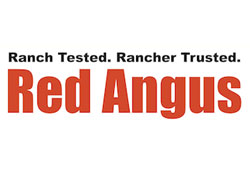 Red Angus Association